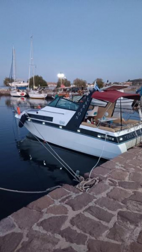Boat RENT